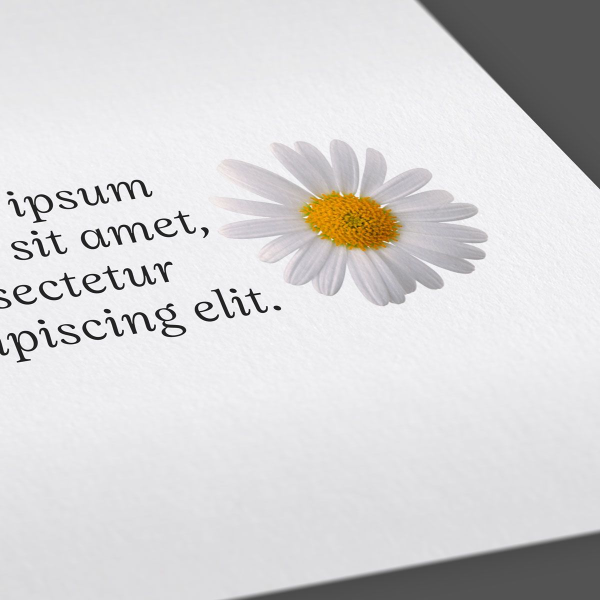 Liscia - Splendorgel Extra White Liscia - Splendorgel Extra White: **Liscia - Splendorgel Extra White** è una carta usomano di pura cellulosa certificata FSC prodotta da Fedrigoni. Questa carta presenta una superficie liscia e…
