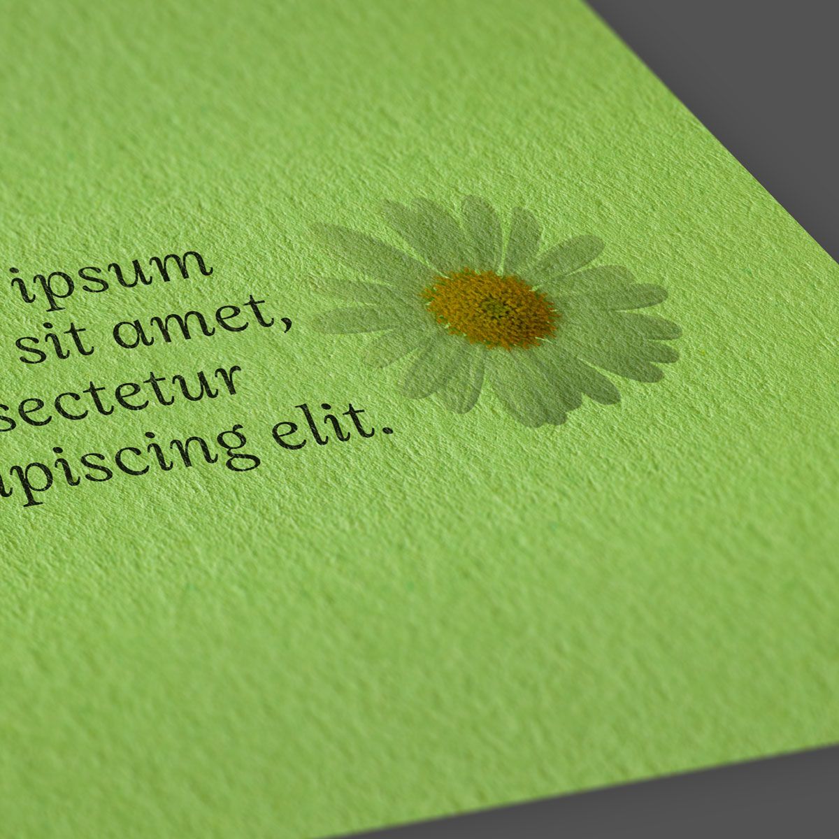 Sirio Lime Sirio Lime: L'eccezionale **Sirio Lime** è un cartoncino naturale colorato. Progettato con la massima attenzione ai dettagli, offre una superficie liscia con una leggera r…