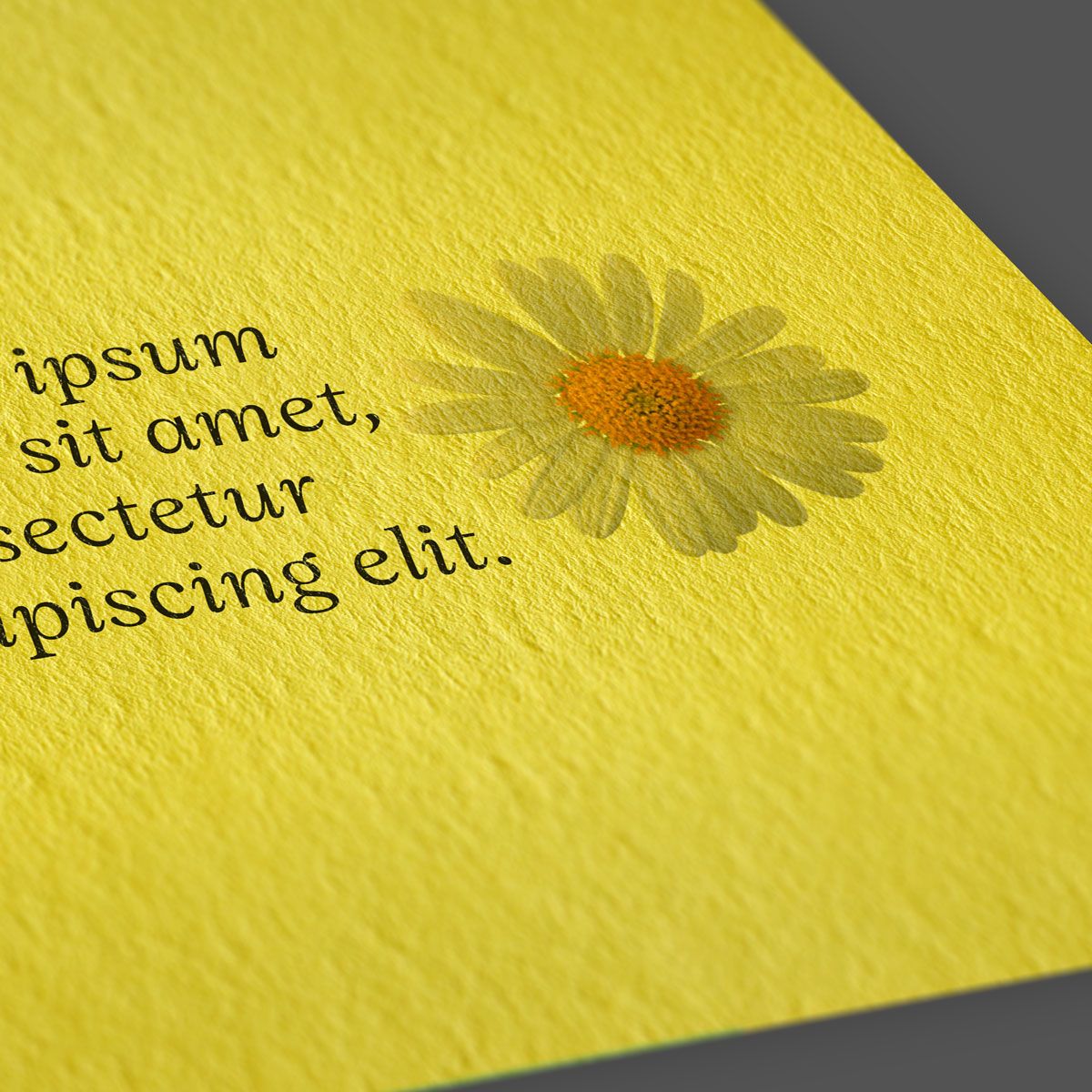 Sirio Limone Sirio Limone: Scoprite il lusso della carta **Sirio Limone**, di Fedrigoni. Questo prodotto esclusivo è costituito da un cartoncino naturale colorato, con la garanzia del ma…