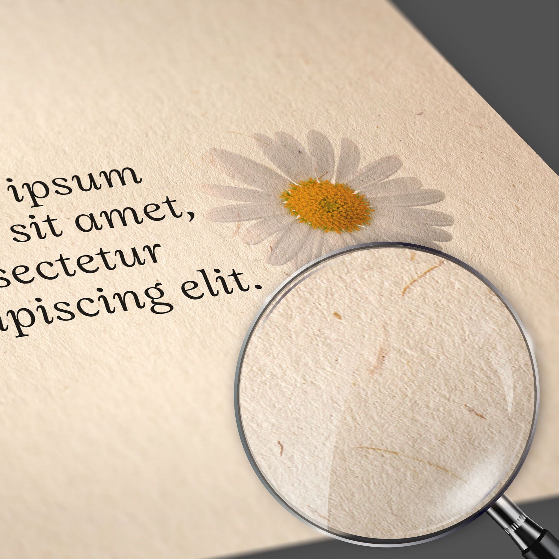 Usomano Riciclata 80% Avorio - Woodstock Betulla Usomano Riciclata 80% Avorio - Woodstock Betulla: Scopri la nostra **Usomano Riciclata 80% Avorio - Woodstock Betulla**, una carta di alta qualità ideale per le tue esigenze di stampa. Questo prodotto unico è …