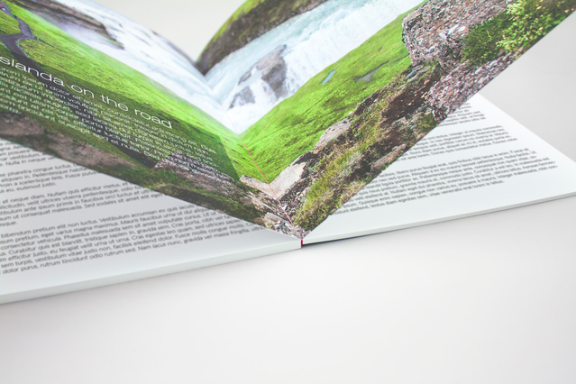 Stampa online flat iceland 02: Libri in Brossura. Scegli il servizio di stampa offset e di stampa digitale di Rotostampa, la migliore tipografia a Roma.